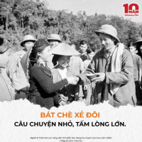 BÁT CHÈ XẺ ĐÔI